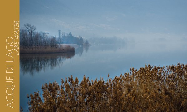 Acque di lago