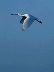 Natura e ambiente